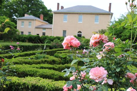 parco washington dc tudor lace|Museum & Collection – Tudor Place.